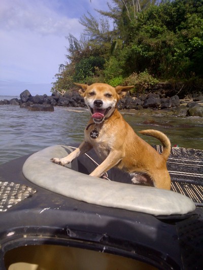 An Unexpected Adventure Turns into the Ultimate Gift